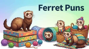 Ferret Puns