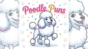 Poodle Puns