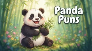 Panda Puns